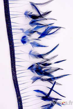 Frange coq - long. plumes 8-10 cm - bleu nuit